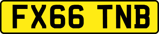 FX66TNB