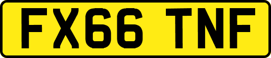 FX66TNF