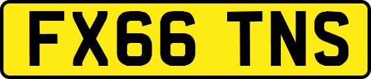FX66TNS