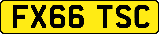 FX66TSC