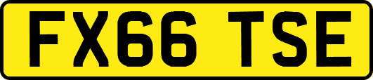 FX66TSE