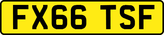 FX66TSF