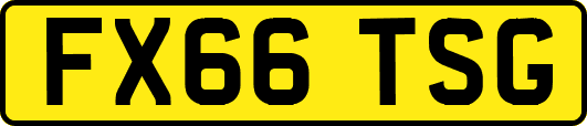 FX66TSG