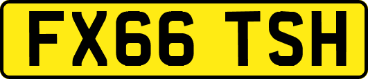 FX66TSH