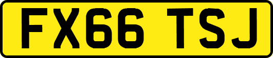 FX66TSJ
