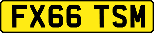 FX66TSM