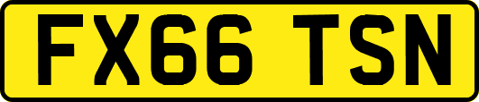 FX66TSN
