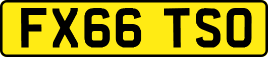 FX66TSO