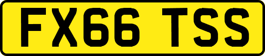 FX66TSS