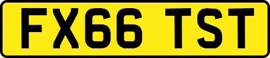 FX66TST
