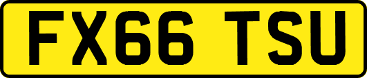 FX66TSU