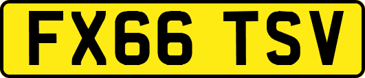 FX66TSV