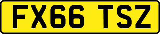 FX66TSZ