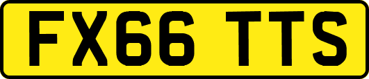 FX66TTS
