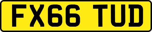 FX66TUD
