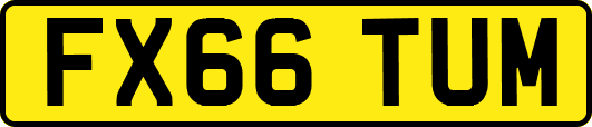 FX66TUM