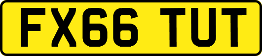 FX66TUT
