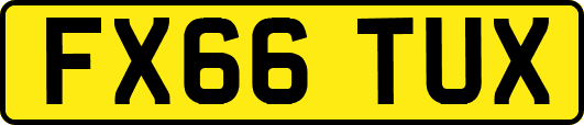 FX66TUX