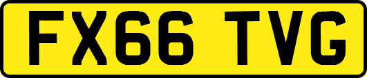 FX66TVG