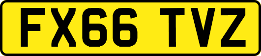 FX66TVZ