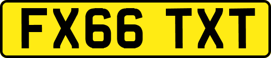 FX66TXT