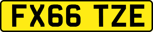 FX66TZE