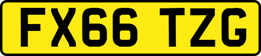 FX66TZG