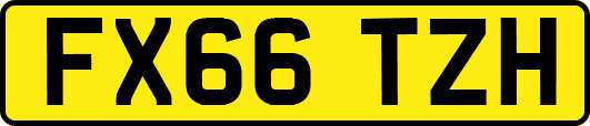 FX66TZH