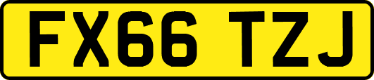 FX66TZJ