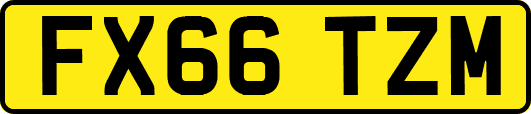 FX66TZM