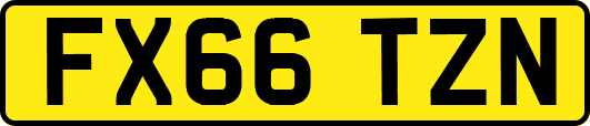 FX66TZN