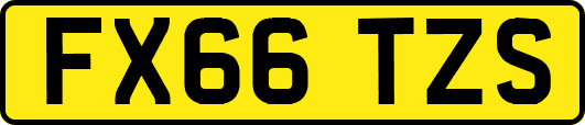 FX66TZS