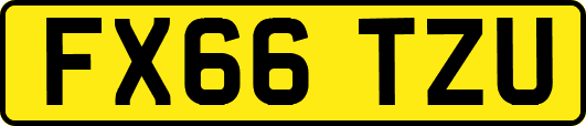 FX66TZU