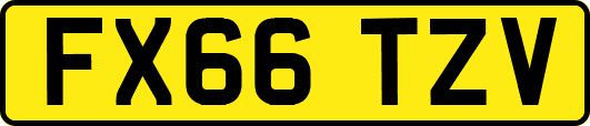 FX66TZV