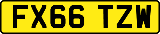 FX66TZW