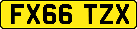 FX66TZX