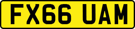 FX66UAM
