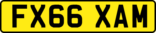 FX66XAM