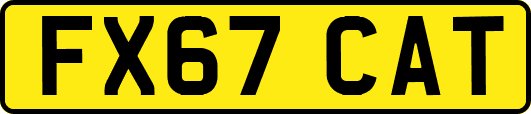 FX67CAT