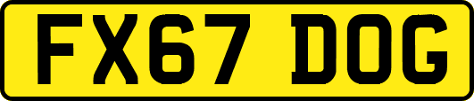 FX67DOG