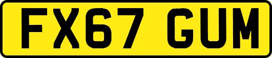 FX67GUM