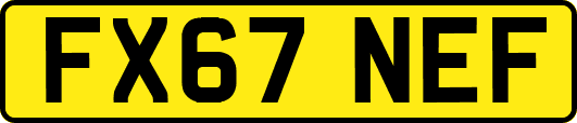 FX67NEF