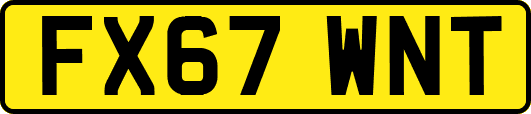 FX67WNT