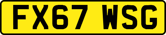FX67WSG