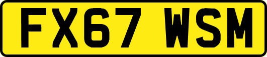 FX67WSM