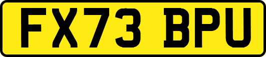 FX73BPU