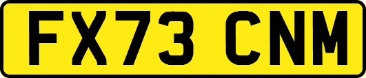 FX73CNM
