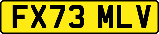 FX73MLV