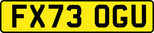 FX73OGU