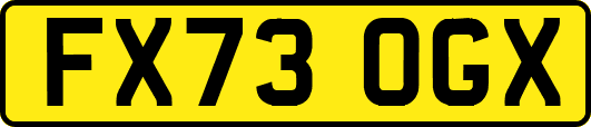 FX73OGX
